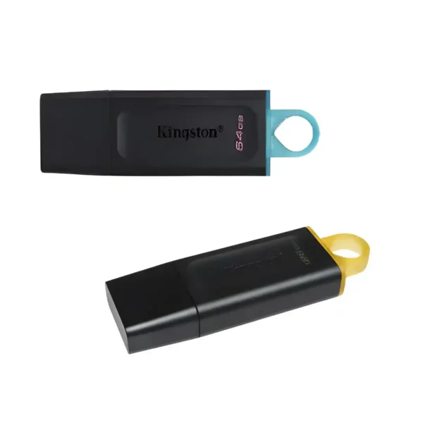 Memoria USB / Kingston / DataTraveler Exodia DTX